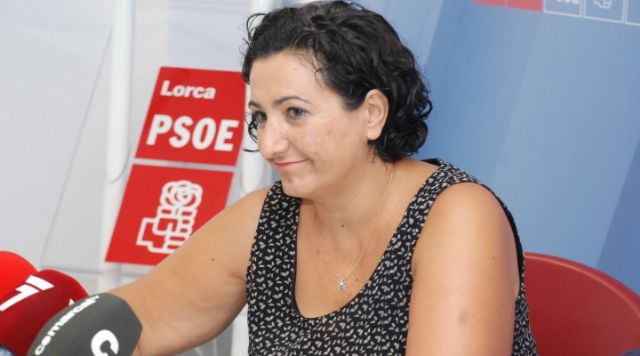 Resulta inaudito que a 15 días del comienzo de la feria, el Partido Popular no sepa ni qué feria va a hacer - 1, Foto 1