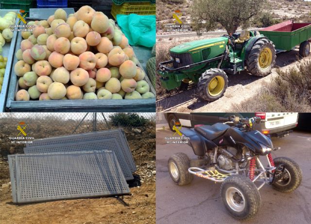 La Guardia Civil detiene a 13 personas relacionadas con robos en explotaciones agrícolas de la Región - 1, Foto 1