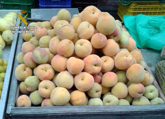 La Guardia Civil detiene a 13 personas relacionadas con robos en explotaciones agrícolas de la Región - 4, Foto 4