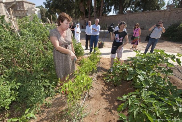 Los mayores del Asilo ya disfrutan de su huerto urbano - 3, Foto 3
