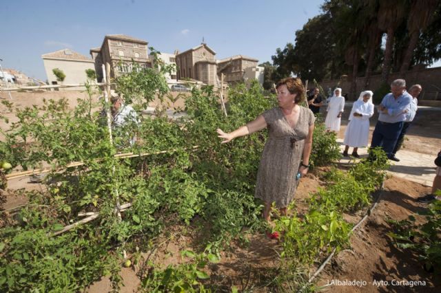 Los mayores del Asilo ya disfrutan de su huerto urbano - 5, Foto 5
