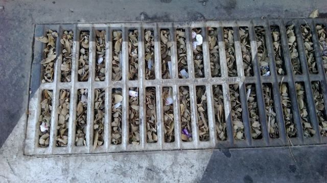 SPCT denuncia la ausencia de mantenimiento del mobiliario del Sector Estación - 4, Foto 4