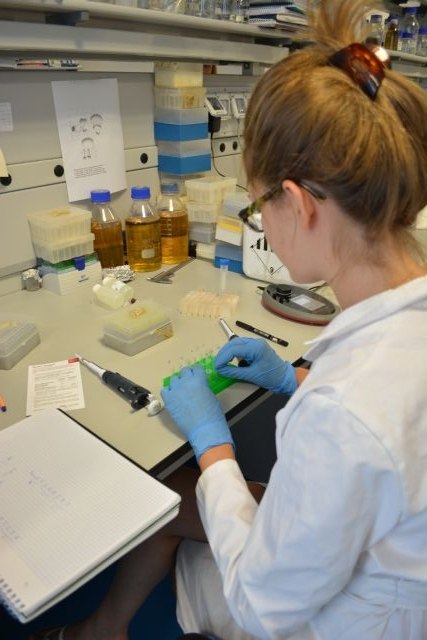 Preinscripción abierta en los másteres de la UPCT, con atribuciones profesionales y enfocados hacia la I+D+i - 2, Foto 2