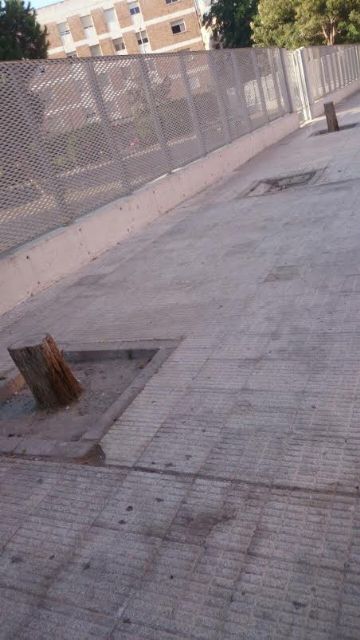 SPCT exige mejoras en el entorno del parque García Pagán - 1, Foto 1