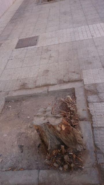 SPCT exige mejoras en el entorno del parque García Pagán - 3, Foto 3