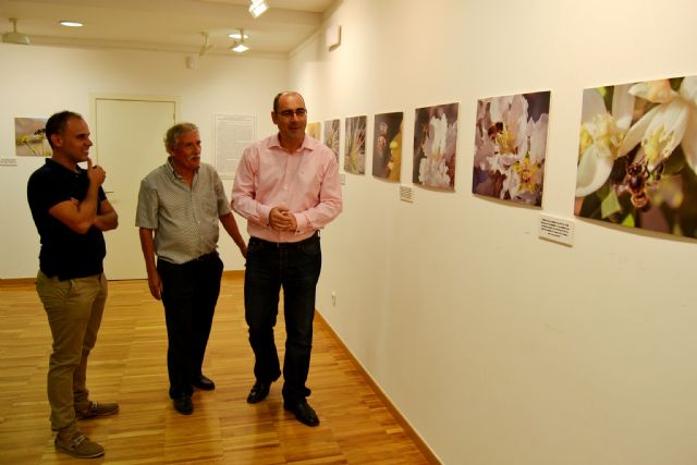 Juan Hernández Calvo presenta en Águilas una exposición fotográfica sobre abejas - 1, Foto 1