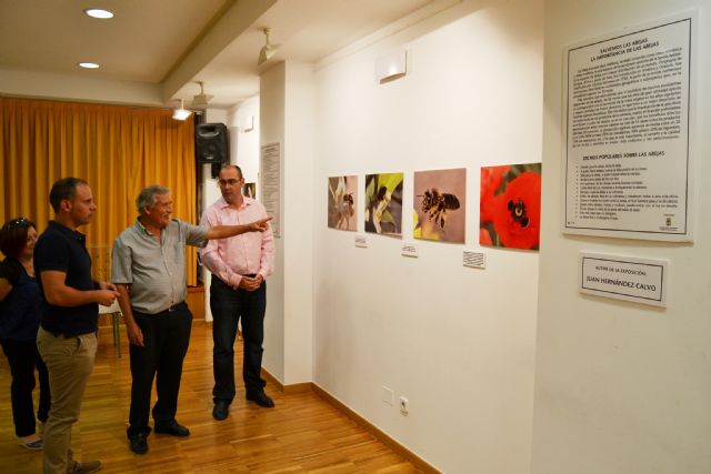 Juan Hernández Calvo presenta en Águilas una exposición fotográfica sobre abejas - 2, Foto 2