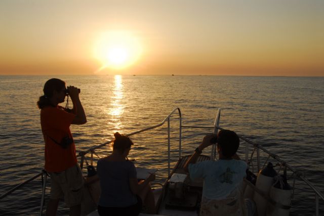 ANSE estudia el uso de las granjas de acuicultura por los delfines mulares - 2, Foto 2