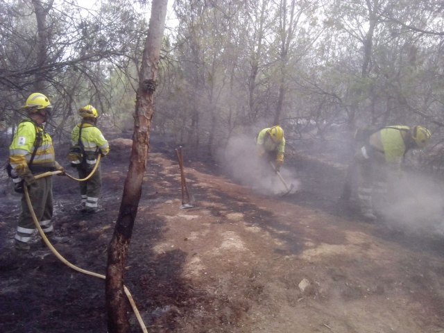 Incendio forestal en la Sierra del Puerto en Calasparra, cerca de la Cueva del Puerto - 2, Foto 2