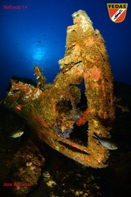 La federacin castellano-manchega logra el primer premio en los nacionales de fotografa submarina, Foto 2