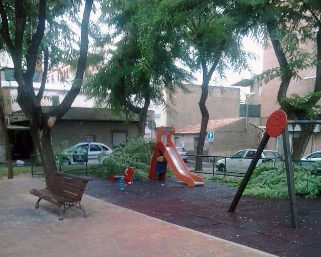 Los socialistas de Puente Tocinos denuncian la caída de dos grandes ramas sobre un parque infantil - 1, Foto 1