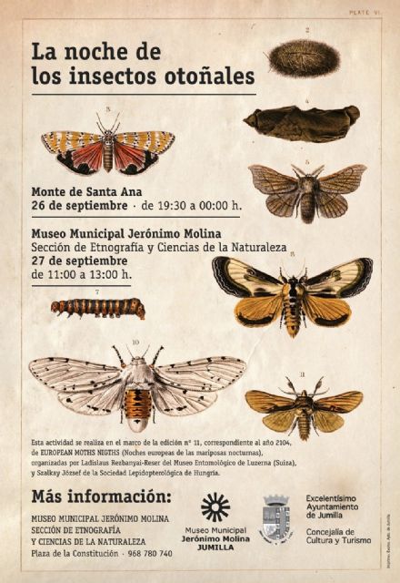 El Museo Municipal de Ciencias de la Naturaleza participa en una iniciativa europea con la actividad La noche de los insectos 2014 - 1, Foto 1