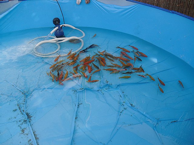 El temporal de lluvias no ha afectado a ninguno de los animales del parque Terra Natura Murcia - 2, Foto 2