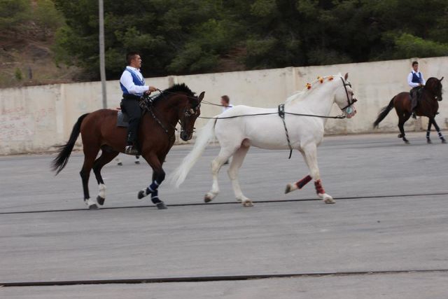 Un fenomenal espectáculo ecuestre para el recuerdo - 1, Foto 1