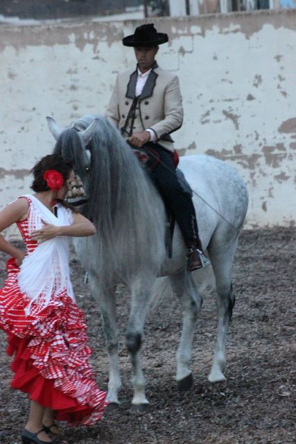 Un fenomenal espectáculo ecuestre para el recuerdo - 2, Foto 2