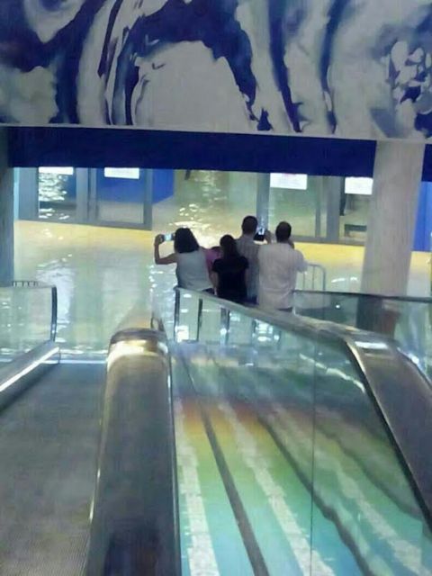 SPCT e IU-verdes Cartagena exigen explicaciones al Gobierno Regional ante las inundaciones del Hospital de Santa Lucía - 3, Foto 3