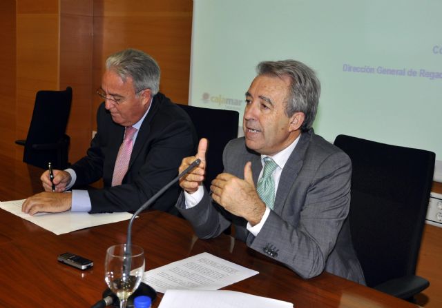 Fecoam reclama que el PDR incorpore medidas para concentrar la oferta - 3, Foto 3