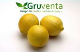 GRUVENTA valora como 'muy activo y fluido' el comienzo de la campaña citrcola