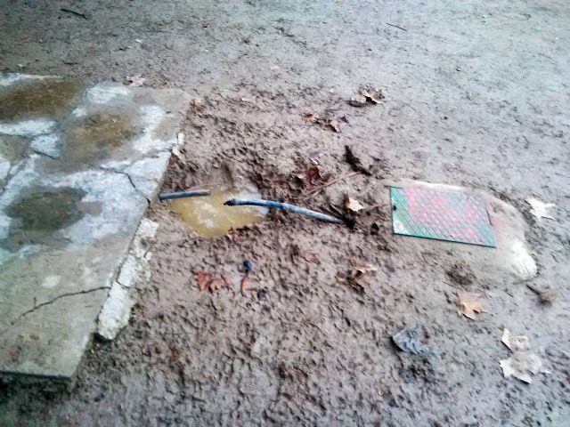 El Grupo Socialista denuncia el mal estado de la zona para perros en el jardín de las Tres Copas - 1, Foto 1