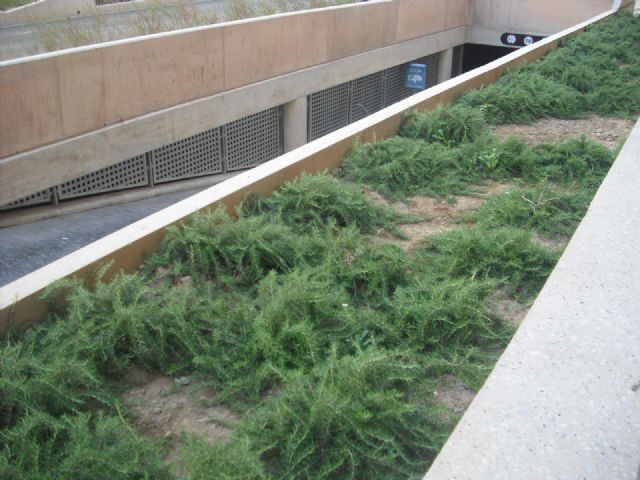 MC pedirá al Ayuntamiento que subsane las deficiencias del Sector Estación y que consensúe con los vecinos la remodelación de Capitanes Ripoll - 3, Foto 3