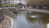 Medio Ambiente instala ahora el nuevo sistema de oxigenacin de agua en el lago del jardn de Salitre