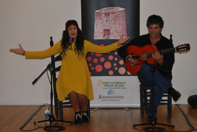 Galas de invierno festival flamenco de Lo Ferro - 2, Foto 2
