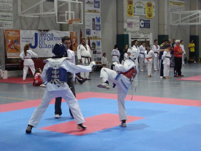 Más de 70 luchadores participan en el Open de Taekwondo de los Juegos - 1, Foto 1