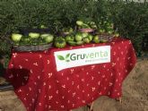 Gruventa presentar en Fruit Attraction los tomates de sabor, cultivados de forma tradicional
