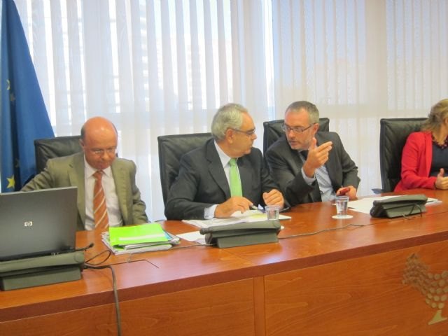 Martínez Asensio afirma que el Gobierno regional ha transformado la deuda para garantizar el pago a proveedores y la prestación de los servicios públicos - 2, Foto 2