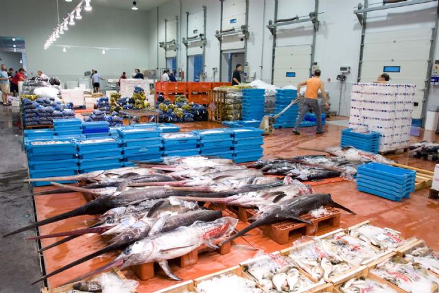 Alcantarilla acoge mañana lunes una importante jornada informativa - 4, Foto 4