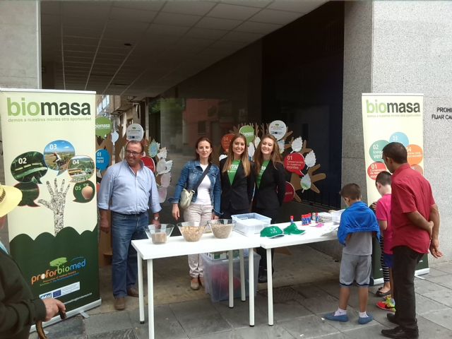 Cehegín se suma a la difusión de la Biomasa como energía económica, limpia y generadora de empleo - 1, Foto 1