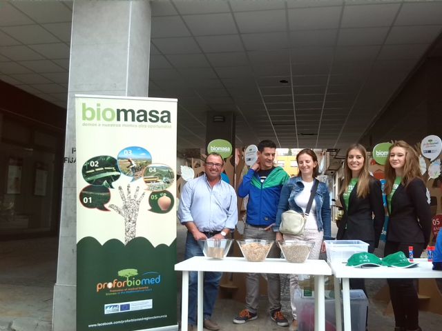 Cehegín se suma a la difusión de la Biomasa como energía económica, limpia y generadora de empleo - 3, Foto 3