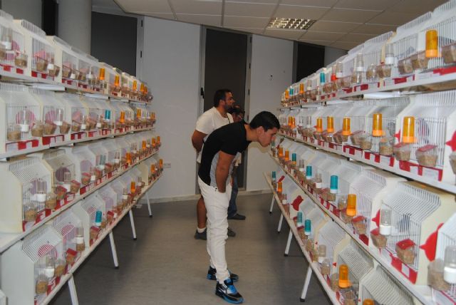 Más de 400 pájaros se citan esta semana en el Concurso Ornitológico - 5, Foto 5