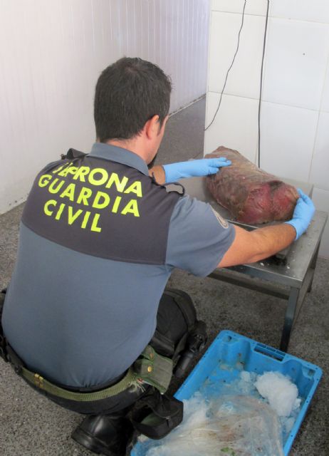 La Guardia Civil decomisa 178 kilos de pescado procedente de capturas furtivas - 1, Foto 1