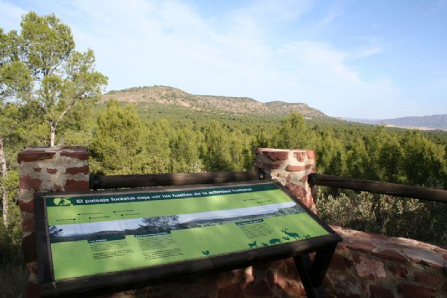 Agentes de Medio Ambiente sorprenden a un cazador furtivo en el Coto de Las Maravillas - 1, Foto 1