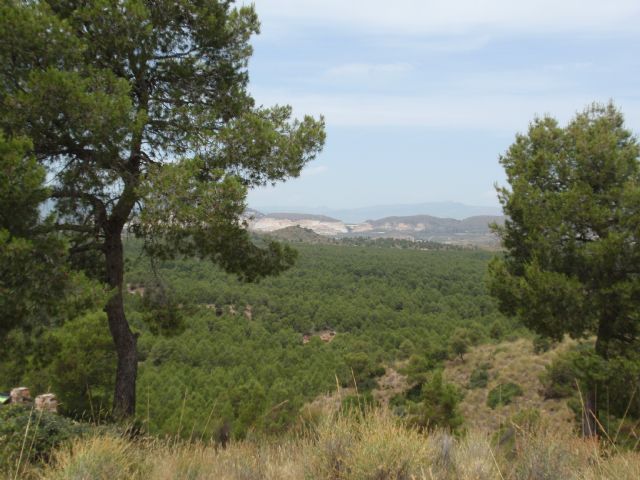 Agentes de Medio Ambiente sorprenden a un cazador furtivo en el Coto de Las Maravillas - 2, Foto 2