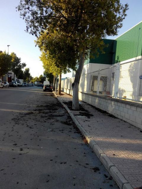 La campaña municipal de poda llega al Polígono Industrial de Ceutí - 1, Foto 1