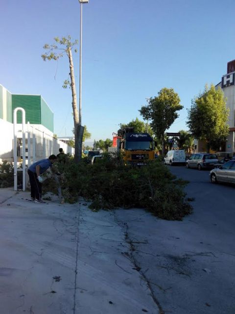 La campaña municipal de poda llega al Polígono Industrial de Ceutí - 2, Foto 2