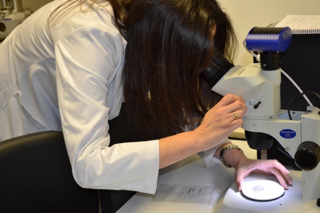 La UPCT colabora en la conservación de las monedas del Nuestra Señora de las Mercedes - 3, Foto 3