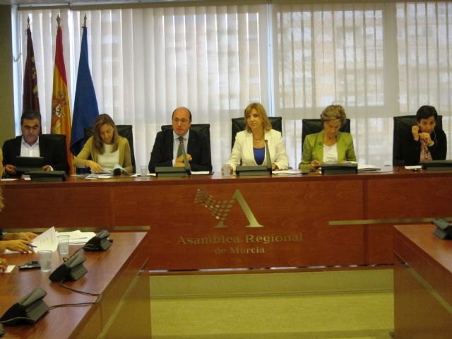 Educación dará apoyo a escolares con enfermedad mental cuando no puedan ir a clase por episodios de agravamiento de su dolencia - 1, Foto 1