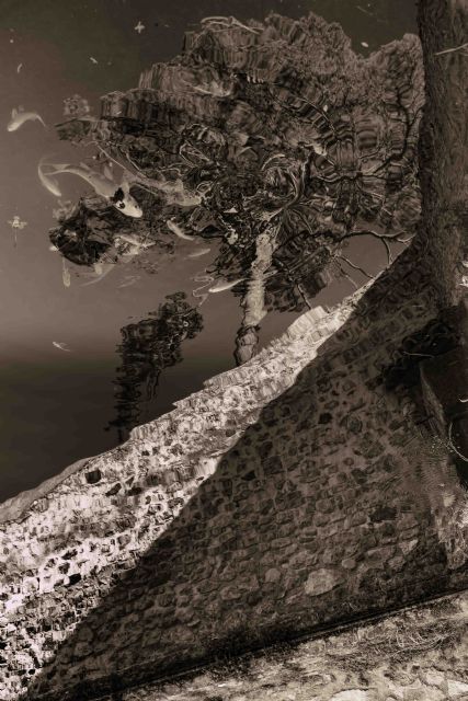 Eduardo Gea se hace con el primer premio de la maratón fotográfica Monumenta Jumilla 2014 - 1, Foto 1