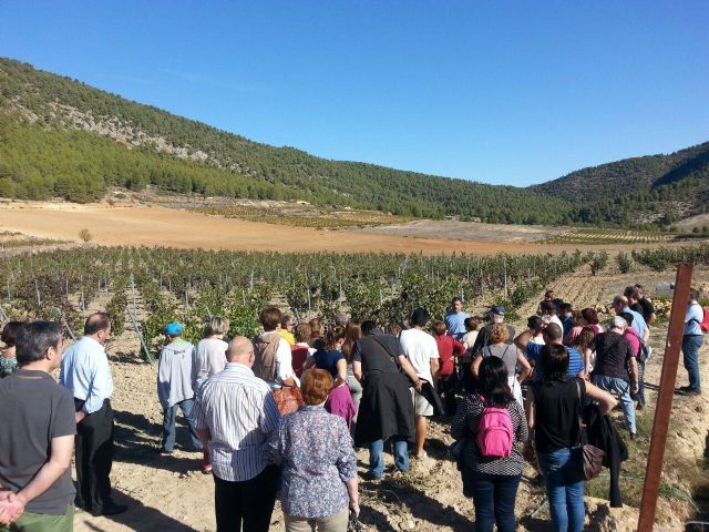 La visita guiada a Bodegas Monastrell y la Escuela del Vino reúne a unas 50 personas - 1, Foto 1