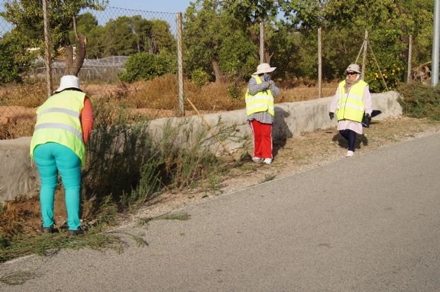 El Ayuntamiento lleva a cabo un plan de choque de limpieza de caminos y cunetas a través de las 117 personas contratadas mediante el programa de los Consejos Comarcales, Foto 3