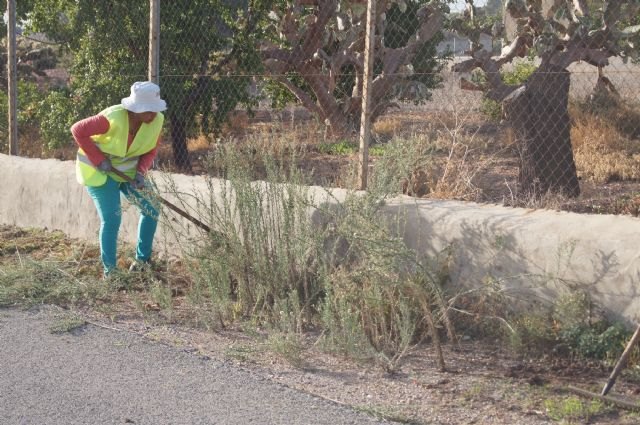 El Ayuntamiento lleva a cabo un plan de choque de limpieza de caminos y cunetas a través de las 117 personas contratadas mediante el programa de los Consejos Comarcales - 4, Foto 4