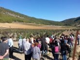 La visita guiada a Bodegas Monastrell y la Escuela del Vino rene a unas 50 personas