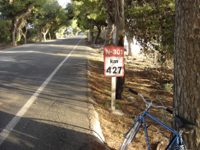 SPCT denuncia la peligrosidad de árboles secos de grandes dimensiones en la N-301 - 2, Foto 2