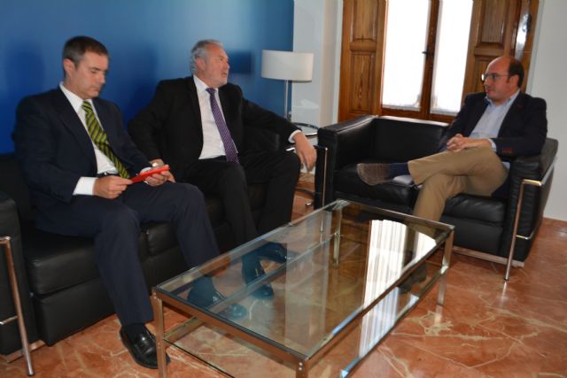 El alcalde y el presidente de la Hermandad de la Virgen de las Maravillas piden que se subsanen leves desperfectos en la policromía de la Patrona - 1, Foto 1