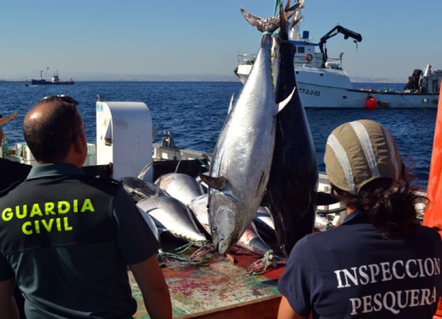 La Guardia Civil e inspectores del MAGRAMA decomisan siete toneladas de atún rojo en un caladero de San Pedro del Pinatar - 1, Foto 1