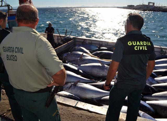 La Guardia Civil e inspectores del MAGRAMA decomisan siete toneladas de atún rojo en un caladero de San Pedro del Pinatar - 2, Foto 2