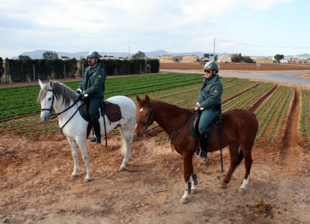 La Guardia Civil refuerza los servicios con el Escuadrón de Caballería - 1, Foto 1